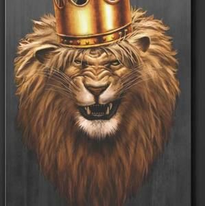 Meet your Posher, Paul